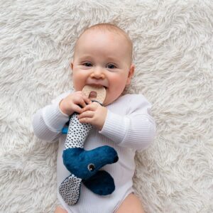 696e3f1e6bdcf55b803df30580d6d5e1