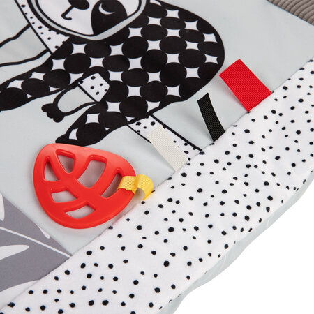 b6adb7a9deef50ca91abcb8aaa7038e2