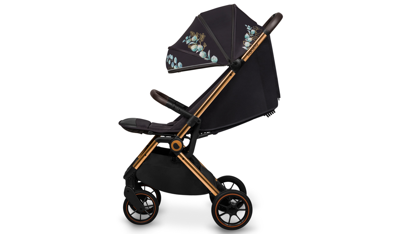 1906dca07b4d58a385f34296de779e49